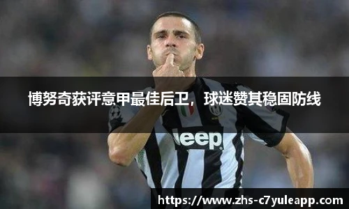 博努奇获评意甲最佳后卫,球迷赞其稳固防线